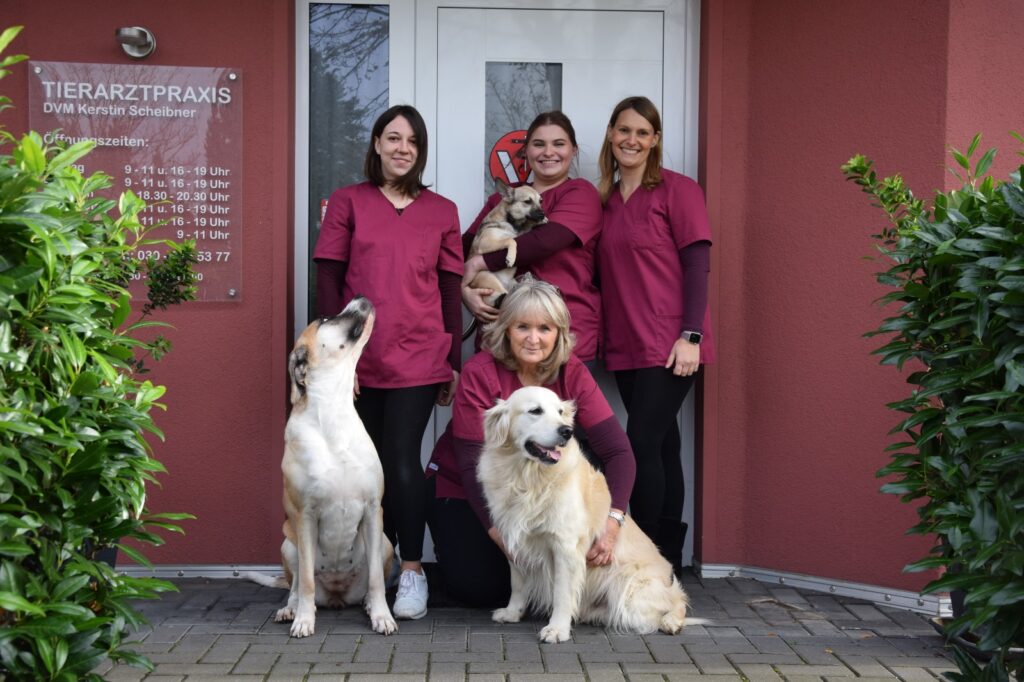4-köpfiges - durchweg weibliches - Team der Tierarztpraxis Bohnsdorf vor der Eingangstür, mit drei Hunden (weiß/beige).